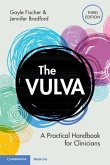 Vulva (eBook, PDF)