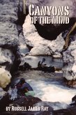 Canyons of the Mind (eBook, ePUB)