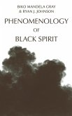 Phenomenology of Black Spirit (eBook, ePUB)