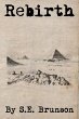 Rebirth (eBook, ePUB) - Bild 1