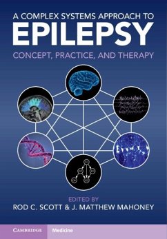 Cover Complex Systems Approach to Epilepsy (eBook, ePUB)