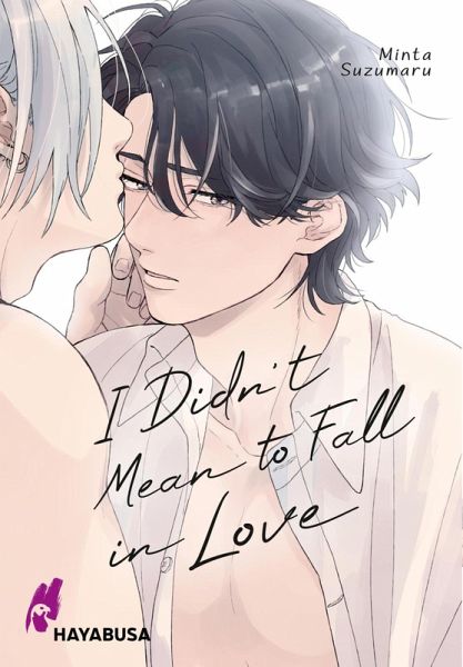 I Didn't Mean to Fall in Love (eBook, ePUB)