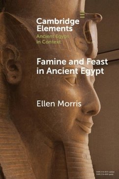 Famine and Feast in Ancient Egypt (eBook, PDF) Cover Famine and Feast in Ancient Egypt (eBook, PDF)