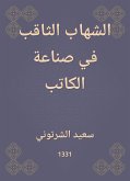 الشهاب الثاقب في صناعة الكاتب (eBook, ePUB)