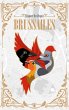 Brussailes (eBook, ePUB) - Bild 1