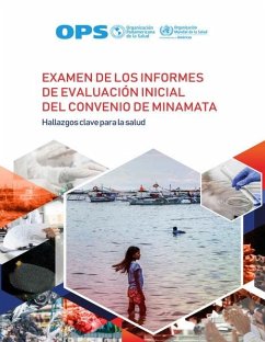 Cover Examen de los informes de evaluación inicial del Convenio de Minamata (eBook, PDF)
