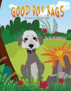 Good Boy Rags (eBook, ePUB) - Houston, A. M