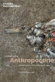 Surveying the Anthropocene (eBook, PDF)