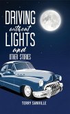 Driving Without Lights and Other Stories (eBook, ePUB)