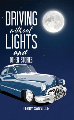 Driving Without Lights and Other Stories (eBook, ePUB) - Sanville, Terry