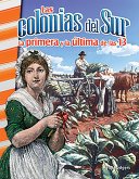 colonias del Sur (eBook, ePUB)