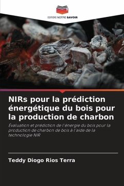 NIRs pour la prédiction énergétique du bois pour la production de charbon - Rios Terra, Teddy Diogo