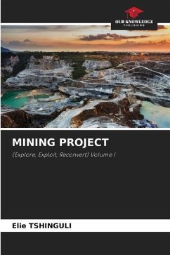 MINING PROJECT - Tshinguli, Élie