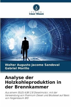Analyse der Holzkohleproduktion in der Brennkammer - Jácome Sandoval, Walter Augusto;Morillo, Gabriel