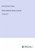 Bricks Without Straw; A Novel