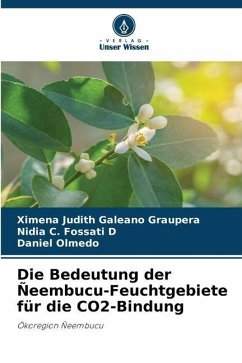 Die Bedeutung der Ñeembucu-Feuchtgebiete für die CO2-Bindung - Galeano Graupera, Ximena Judith;Fossati D, Nidia C.;Olmedo, Daniel