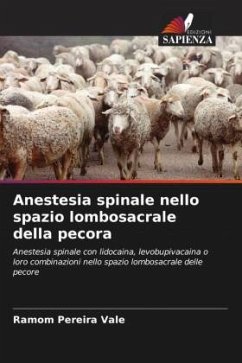 Cover Anestesia spinale nello spazio lombosacrale della pecora