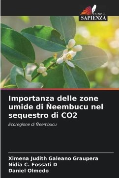 Importanza delle zone umide di Ñeembucu nel sequestro di CO2 - Galeano Graupera, Ximena Judith;Fossati D, Nidia C.;Olmedo, Daniel