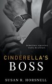 Cinderella's Boss