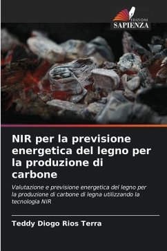 NIR per la previsione energetica del legno per la produzione di carbone - Rios Terra, Teddy Diogo