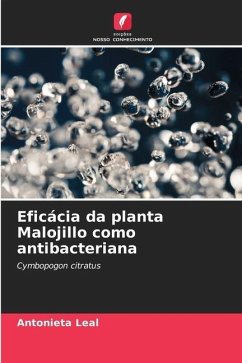Eficácia da planta Malojillo como antibacteriana - Leal, Antonieta
