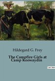 The Campfire Girls at Camp Keewaydin
