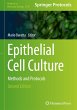 Epithelial Cell Culture - Bild 1