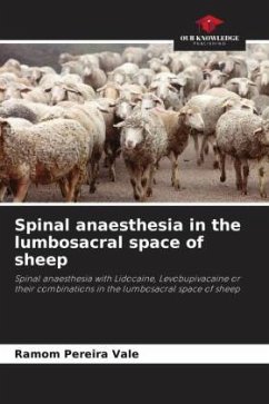 Spinal anaesthesia in the lumbosacral space of sheep - Pereira Vale, Ramom