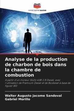 Analyse de la production de charbon de bois dans la chambre de combustion - Jácome Sandoval, Walter Augusto;Morillo, Gabriel