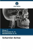 Scharnier-Achse