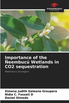 Importance of the Ñeembucú Wetlands in CO2 sequestration - Galeano Graupera, Ximena Judith;Fossati D, Nidia C.;Olmedo, Daniel