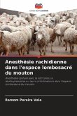 Anesthésie rachidienne dans l'espace lombosacré du mouton