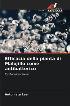 Efficacia della pianta di Malojillo come antibatterico - Leal, Antonieta