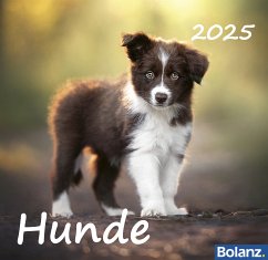 Hunde 2025