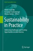 Sustainability in Practice (eBook, PDF)