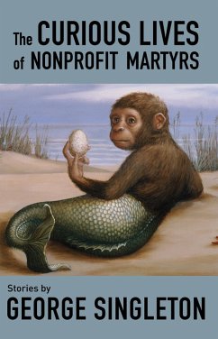 The Curious Lives of Nonprofit Martyrs (eBook, ePUB) - Singleton, George