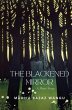 The Blackened Mirror - Bild 1