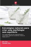 Estratégias naturais para criar uma morfologia sem equilíbrio