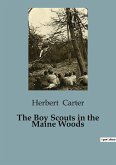 The Boy Scouts in the Maine Woods