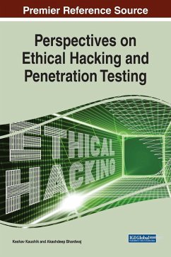 Perspectives on Ethical Hacking and Penetration Testing