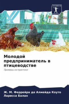 Cover Molodoj predprinimatel' w pticewodstwe