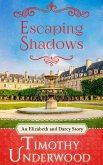 Escaping Shadows (eBook, ePUB)