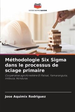 Méthodologie Six Sigma dans le processus de sciage primaire - Rodriguez, Jose Aquimix