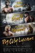 Big City Lycans Collection One - Bild 1