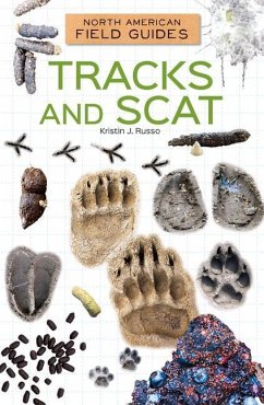 Cover Tracks and Scat