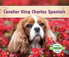 Cavalier King Charles Spaniels - Murray, Julie