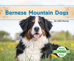 Bernese Mountain Dogs - Murray, Julie