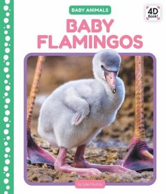 Baby Flamingos - Murray, Julie