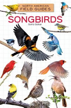 Songbirds - Golkar, Golriz