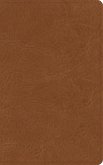 NASB Single-Column Personal Size Bible, Tan Genuine Leather